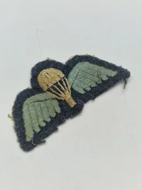 Ekstremt sjælden WW2 BRITISH Parra WING WW2 Royal Air Force