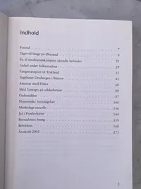 Flygtet, fanget og fængslet - Gestapofange K.feilberg en dansk officers skæbne efter 29 August 1943