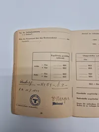 Ekstremt sjælden Waffen SS solbuch fra Wacht-BTL “Dänemark”