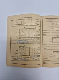 Originalt Waffen-SS lot - Feuerschütz Polizei