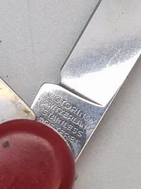 Victorinox foldekniv