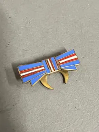 Original Frihedskæmper pin
