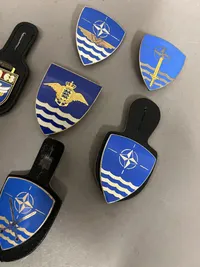 Samling lommeskjold