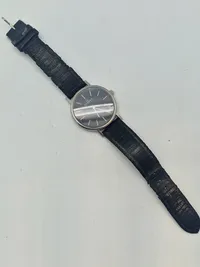 Originalt Skagenur, skal have nyt batteri