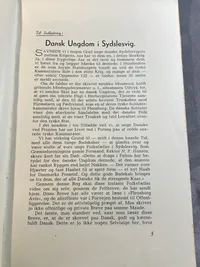 Sydslesvigske soldaterbreve