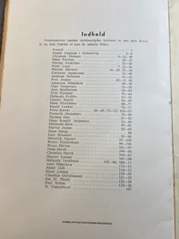Sydslesvigske soldaterbreve