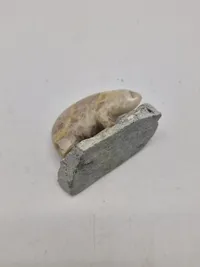 Original Grønlandica isbjørn