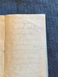 Sjælden original NSU sangbog (national socialistisk ungdom)
