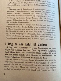 Sjælden original tale på dansk af rigsfører H.Himmler - ww2