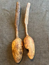 1800 tals hornskeer - jordfund