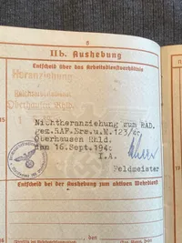 Originalt Luftwaffe wehrpas