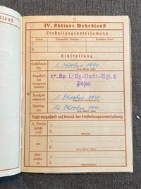 Originalt Luftwaffe wehrpas