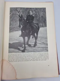 Danske ww2 bøger Året 1940-1945