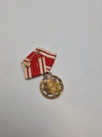 Originalt dansk garder lot