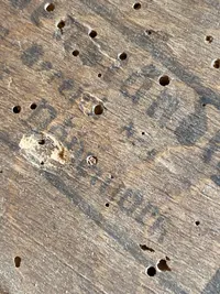 Original tysk støvleknægt, ww2 stemplet Bodenstaendig Bereich Dänemark - fundet i Aarhus