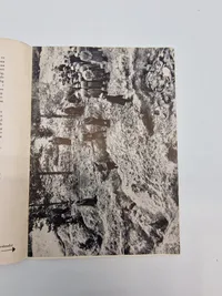 Skuddet i nakken Tysk propaganda på Dansk