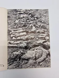 Skuddet i nakken Tysk propaganda på Dansk
