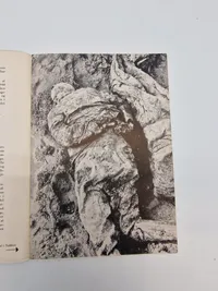 Skuddet i nakken Tysk propaganda på Dansk