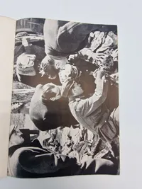 Skuddet i nakken Tysk propaganda på Dansk