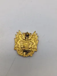 Lot danske baretmærker mm.