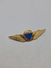 Original dansk faldskærmsvinge