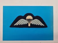 Ekstremt sjælden WW2 BRITISH Parra WING WW2 Royal Air Force