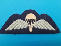 Ekstremt sjælden WW2 BRITISH Parra WING WW2 Royal Air Force