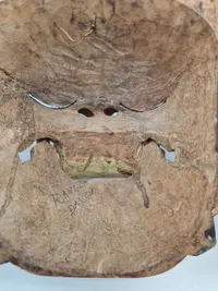 Indonesisk “barong”maske