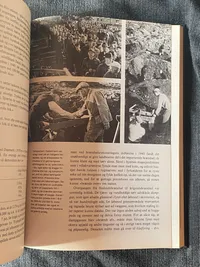God bog om besættelsen - bl.a. massere af info om Frikorps Danmark
