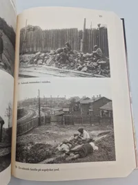 Rød sult - Stalins hungersnød i Ukraine