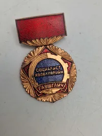 Lot originalt sovjet medaljer Mongoliet