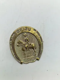 Lot rytteri veteran