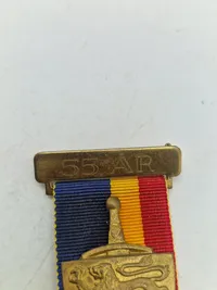 Lot jubilæums medaljer - Slesvigske Fodregiment