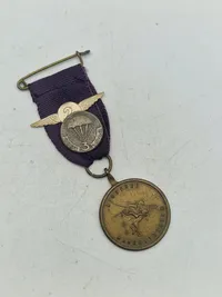 Original hollandsk airborne veteran medalje