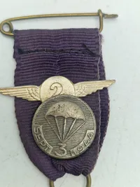 Original hollandsk airborne veteran medalje