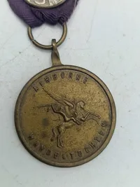 Original hollandsk airborne veteran medalje