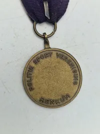 Original hollandsk airborne veteran medalje