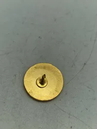 Lot pins og badges