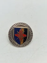 Lot pins og badges