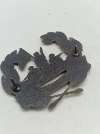 Lot pins og badges