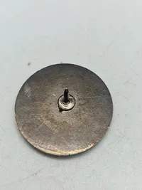 Lot pins og badges