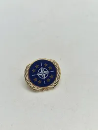 Lot pins og badges