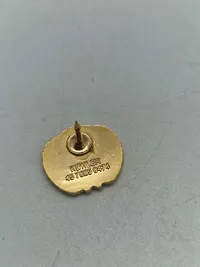 Lot pins og badges