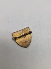 Lot pins og badges