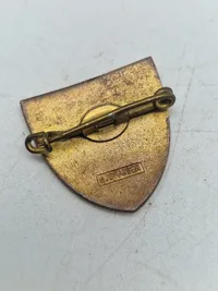 Lot pins og badges