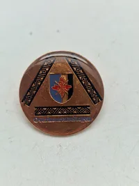 Lot pins og badges