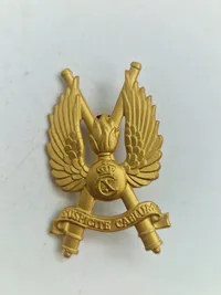 Lot danske regiments mærker