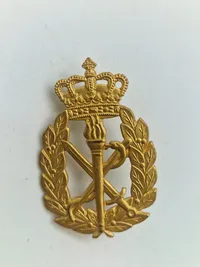 Lot danske regiments mærker