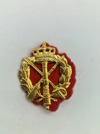 Lot danske regiments mærker