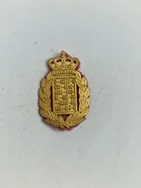 Lot danske regiments mærker mm.